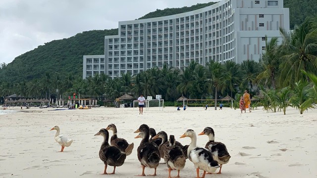 Vinpearl Nha Trang phát 'tin khẩn'