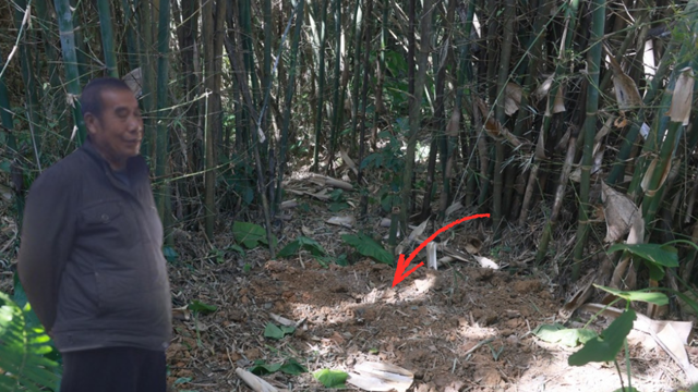 Đang đào giun câu cá, lão nông phát hiện kho báu nặng 30kg bên dưới bụi tre, bảo tàng huyện lập tức xuống làm việc