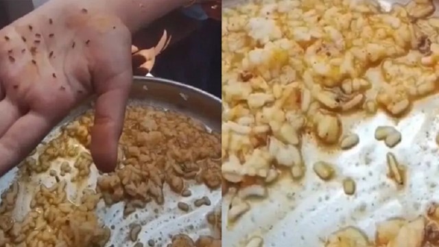Phát hiện giòi bọ lúc nhúc trong cơm trưa của học sinh tại một trường công lập Ấn Độ