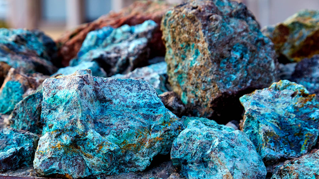 'Vàng xanh' trời ban cho Cuba có trữ lượng gấp 7 lần Mỹ, trở thành nguồn lực quan trọng giữa lúc kinh tế khó khăn