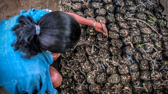 Cuba tạo ra 'vàng đen' từ phế phẩm, có thể là 'kế sinh tồn' giữa vòng vây cấm vận