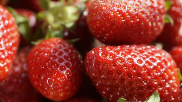 Nghịch lý tại nền kinh tế lớn thứ 4 châu Á: Người dân phải mua dâu với giá đắt đỏ, nông trại lại vứt bỏ hàng trăm kg/ngày