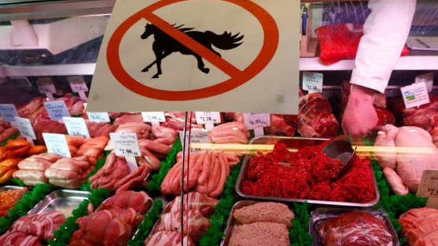 Phát hiện đường dây 'hô biến' thịt ngựa thành thịt bò bán cho siêu thị, làm thực phẩm chế biến sẵn: Bê bối thực phẩm rúng động dư luận hơn một thập kỷ