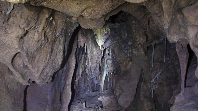 Phát hiện quan trọng làm thay đổi lịch sử trong hang đá bị niêm phong 40.000 năm