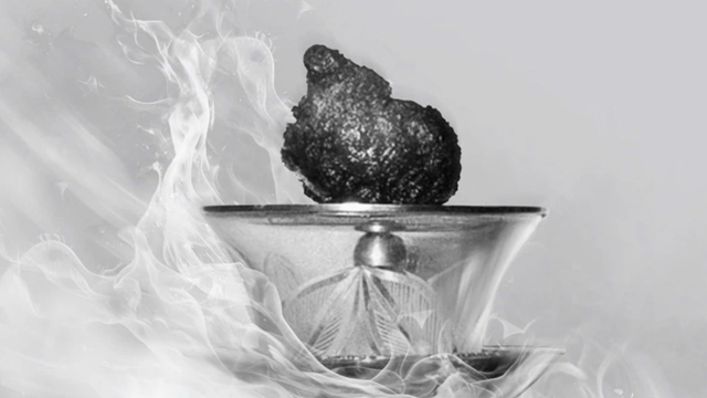 Ngày mai, tạm hoãn chiêm bái xá lợi trái tim Bồ tát Thích Quảng Đức