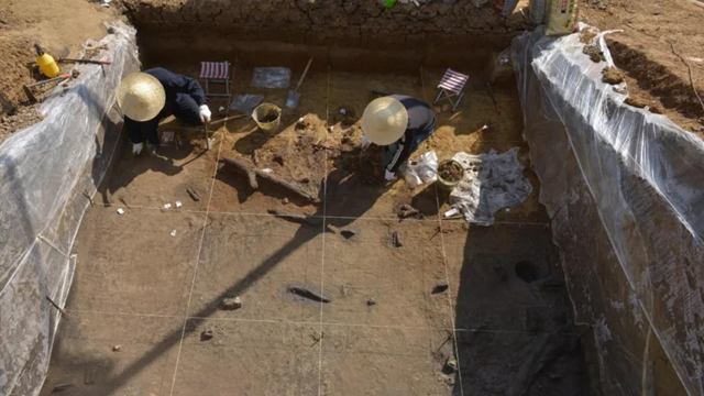 Chính thức tìm thấy ‘kho báu gỗ’ niên đại 300.000 năm