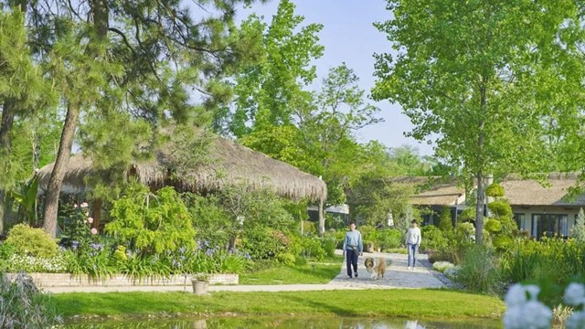 Giám đốc ‘bỏ phố về quê’ xây nông trại hơn 133.000m2 để ‘chữa lành’, hoàn thành sau 3 năm tự tay xây dựng