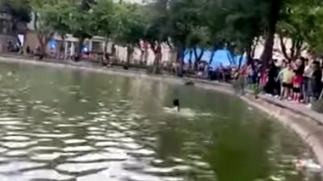 Thông tin chính thức vụ cô gái tử vong bất thường ở hồ Hoàn Kiếm