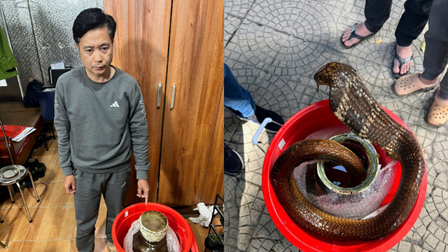 Khởi tố Phạm Duy Thuyết SN 1981 vì mua bán rắn hổ mang chúa 