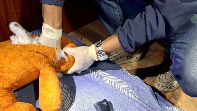 Huy động chó nghiệp vụ, sử dụng máy xúc đào xới khu đất vườn rộng 2.000m², tiến hành khám xét khẩn cấp nơi ở của Vũ Đình Trọng