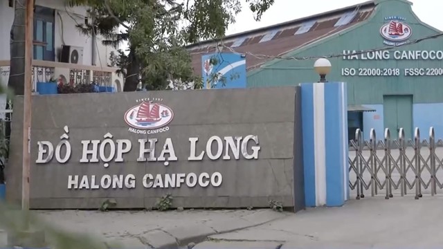 Yêu cầu truy xuất, triệu hồi sản phẩm Đồ hộp Hạ Long 'dính' lợn bệnh